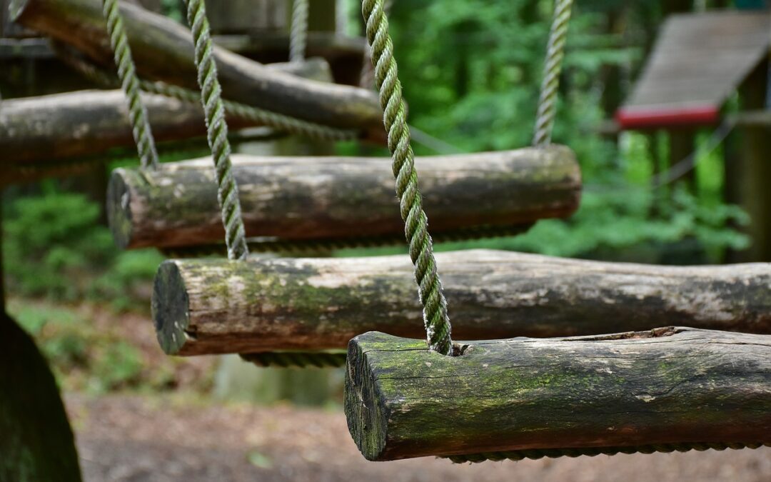 Teamtraining immer im Wald?